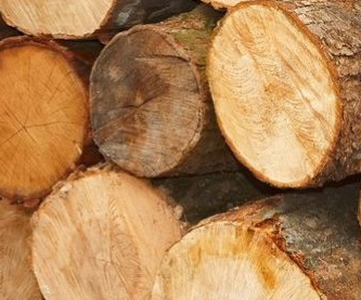 RÉUNION D’INFORMATION Qualifier et valoriser la ressource en bois local