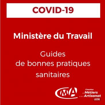 COVID-19 Ministère du Travail [guides de bonnes pratiques sanitaires]